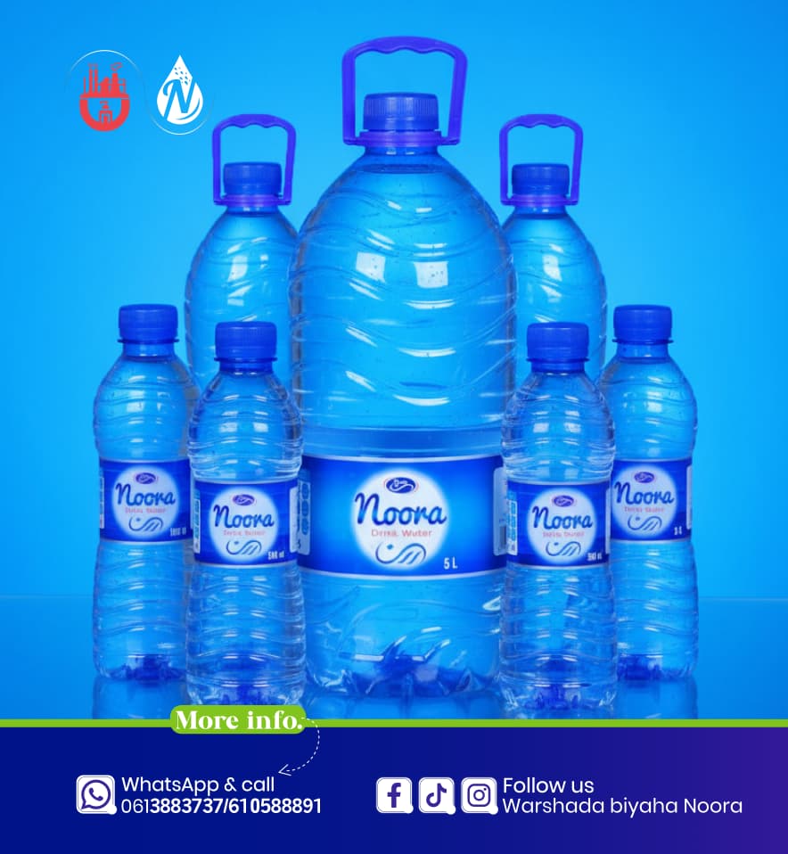 Noor vision and growth
